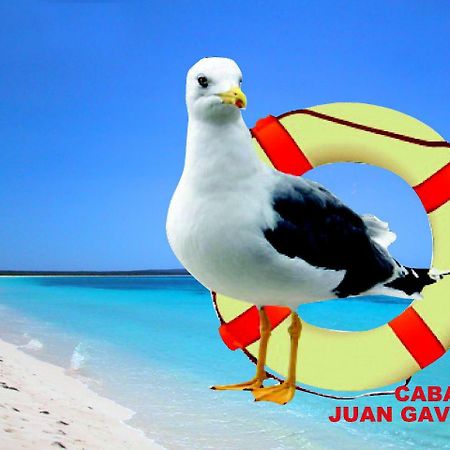 Cabanas Juan Gaviota Punta Choros Zewnętrze zdjęcie
