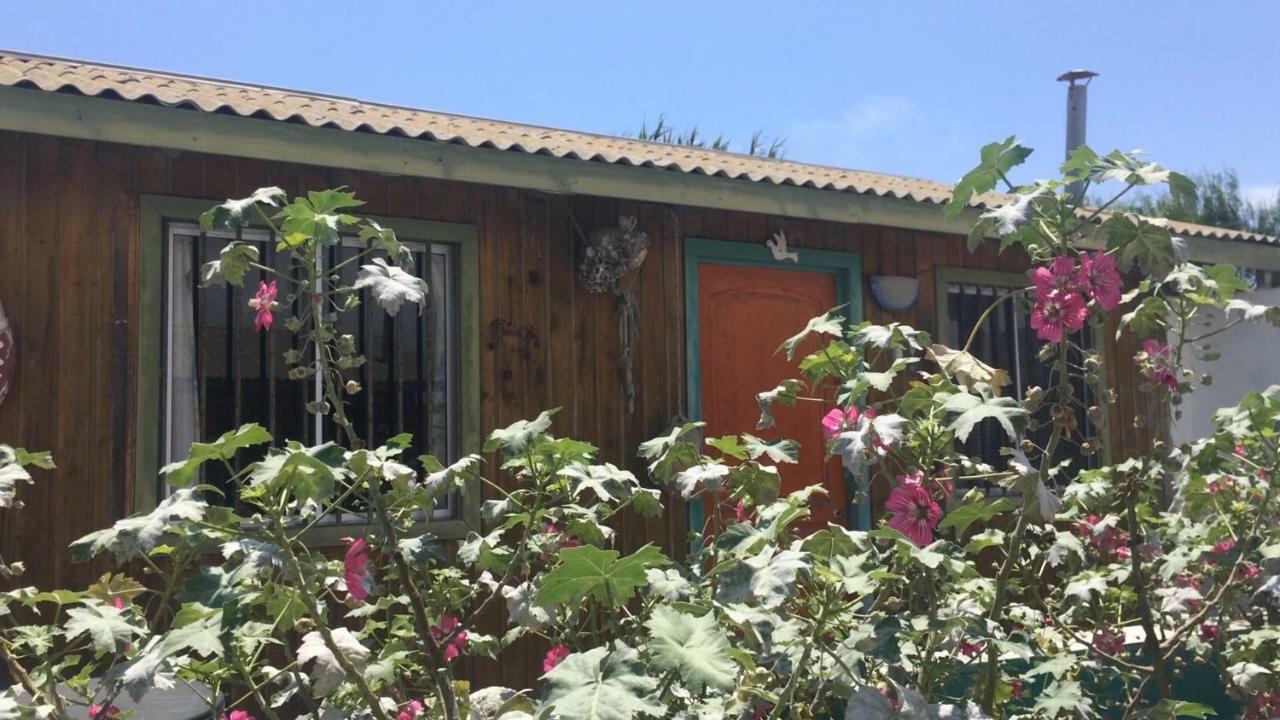Cabanas Juan Gaviota Punta Choros Zewnętrze zdjęcie