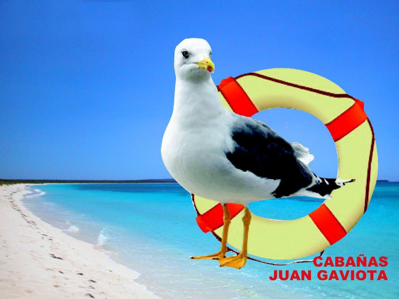 Cabanas Juan Gaviota Punta Choros Zewnętrze zdjęcie