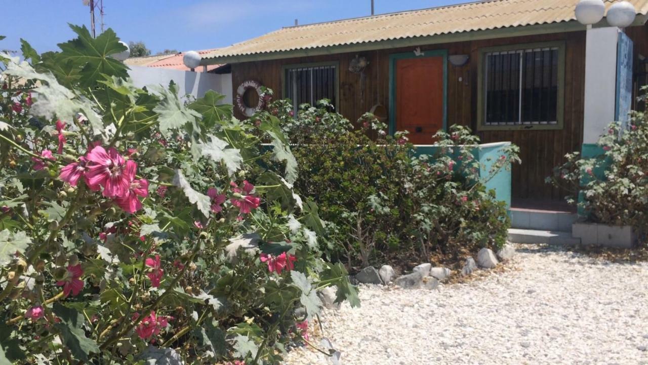 Cabanas Juan Gaviota Punta Choros Zewnętrze zdjęcie