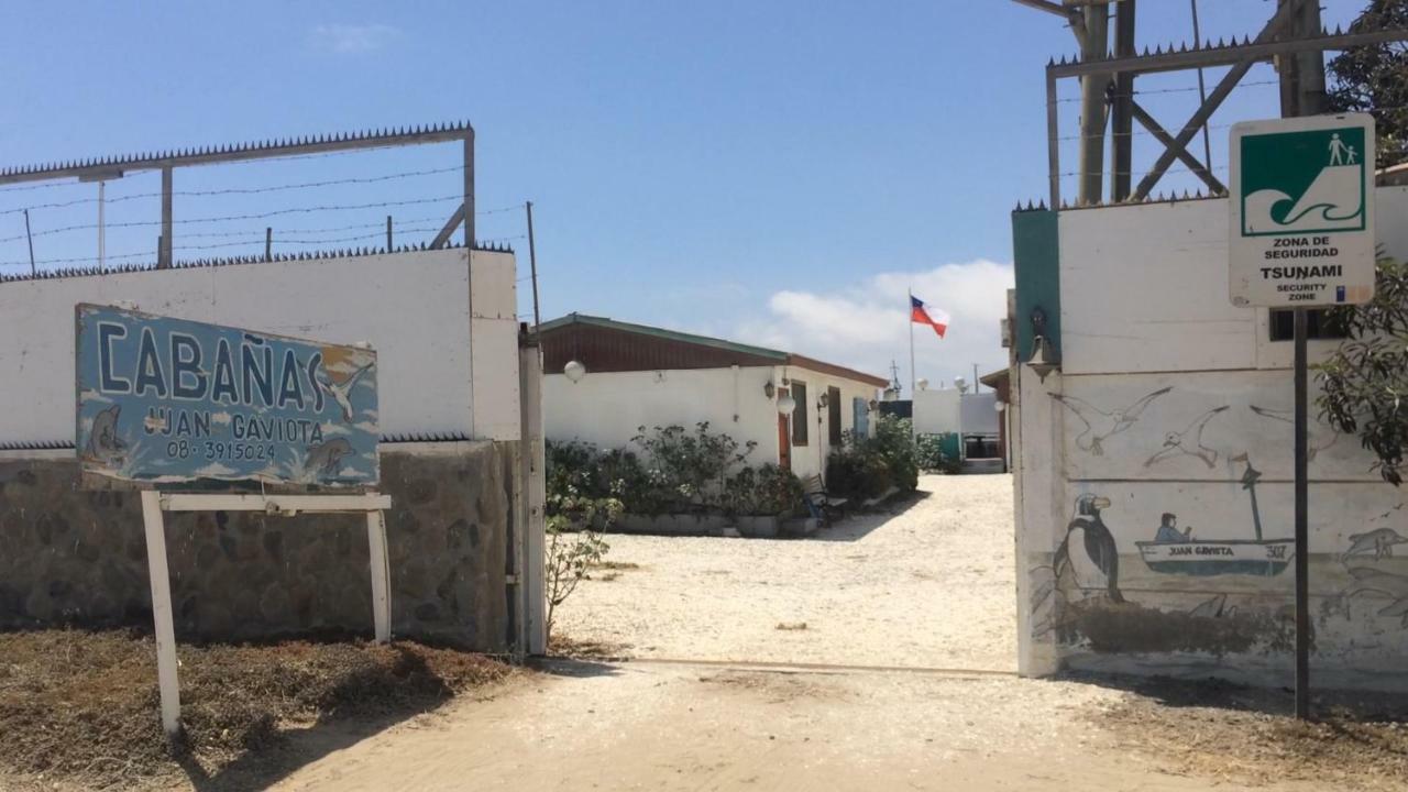 Cabanas Juan Gaviota Punta Choros Zewnętrze zdjęcie