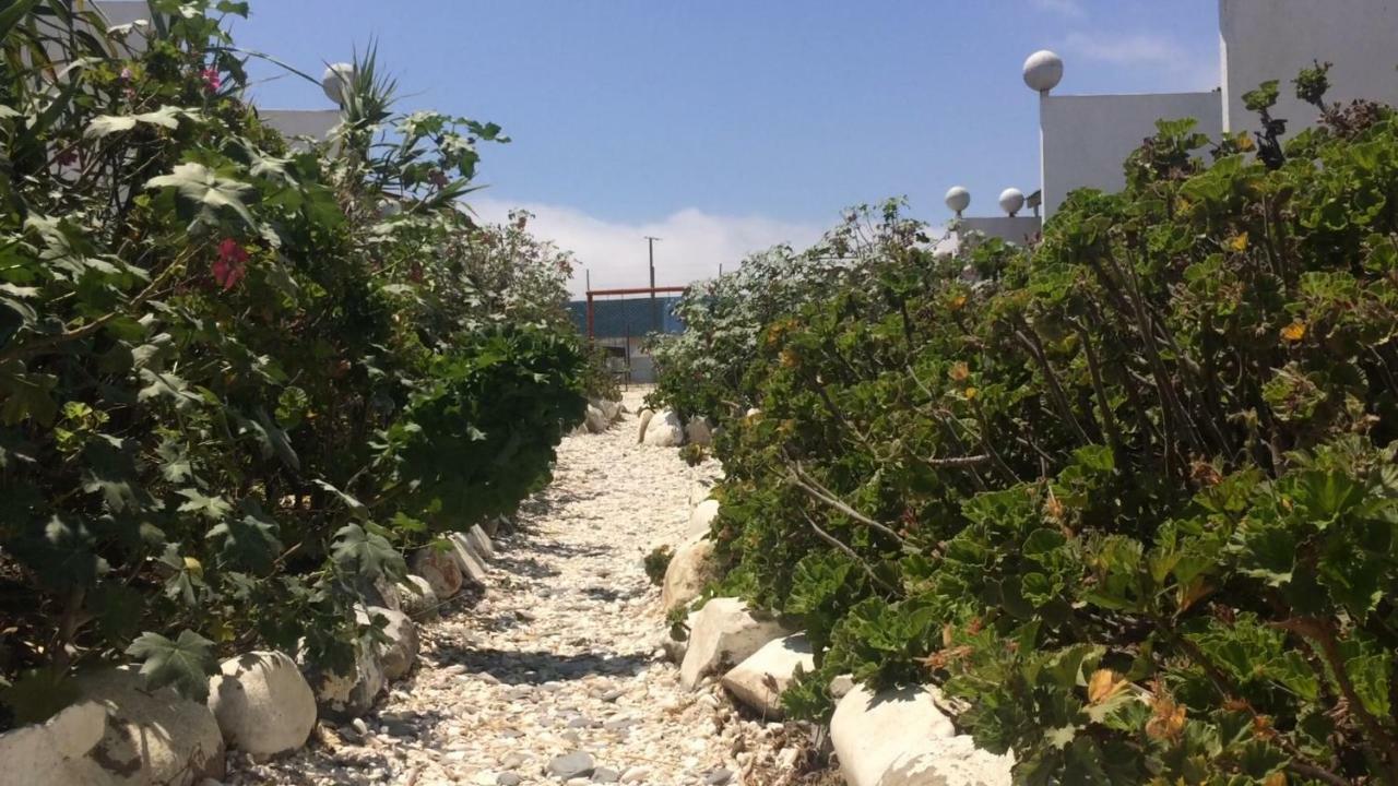 Cabanas Juan Gaviota Punta Choros Zewnętrze zdjęcie