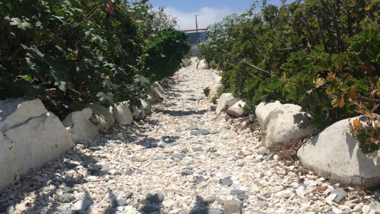 Cabanas Juan Gaviota Punta Choros Zewnętrze zdjęcie