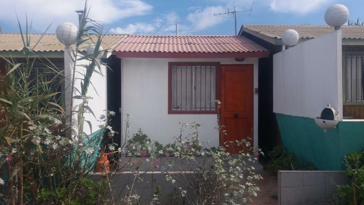 Cabanas Juan Gaviota Punta Choros Zewnętrze zdjęcie