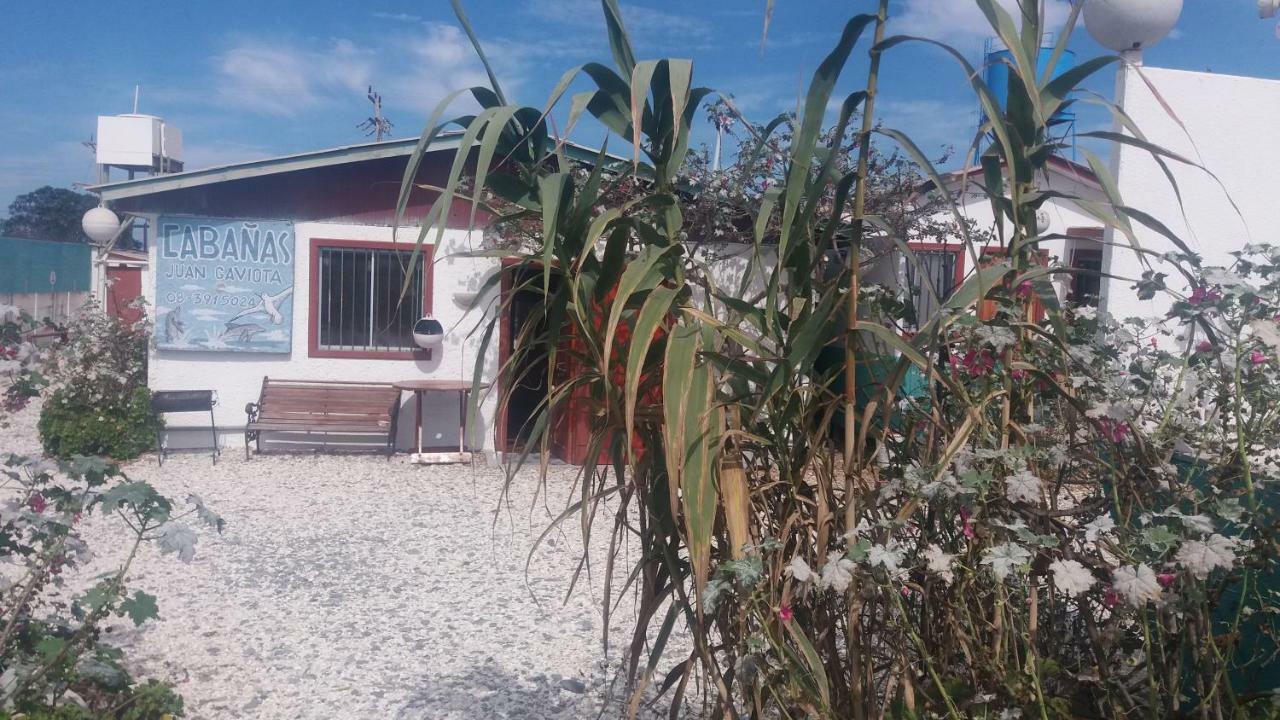 Cabanas Juan Gaviota Punta Choros Zewnętrze zdjęcie