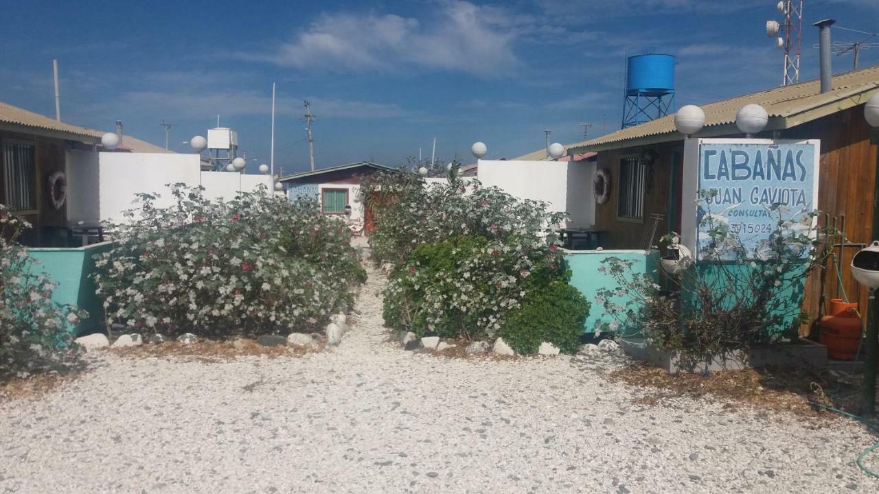 Cabanas Juan Gaviota Punta Choros Zewnętrze zdjęcie
