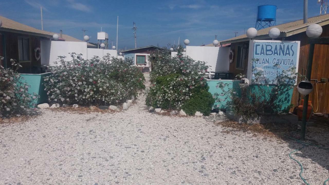 Cabanas Juan Gaviota Punta Choros Zewnętrze zdjęcie