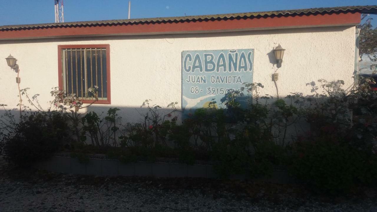 Cabanas Juan Gaviota Punta Choros Zewnętrze zdjęcie