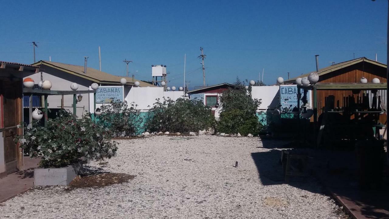 Cabanas Juan Gaviota Punta Choros Zewnętrze zdjęcie